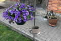 IMG-20220701-WA0083
