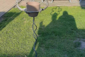IMG-20220701-WA0085
